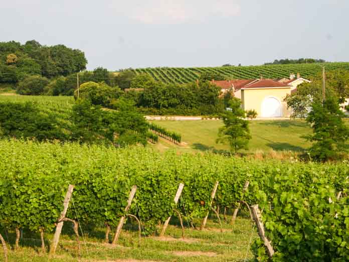 Domaine Viticole vignes maison Cuvee tradition Bordeaux rouge Chateau Larquey Caudrot France